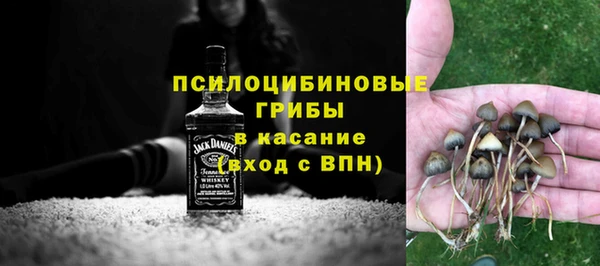 ешки Карпинск